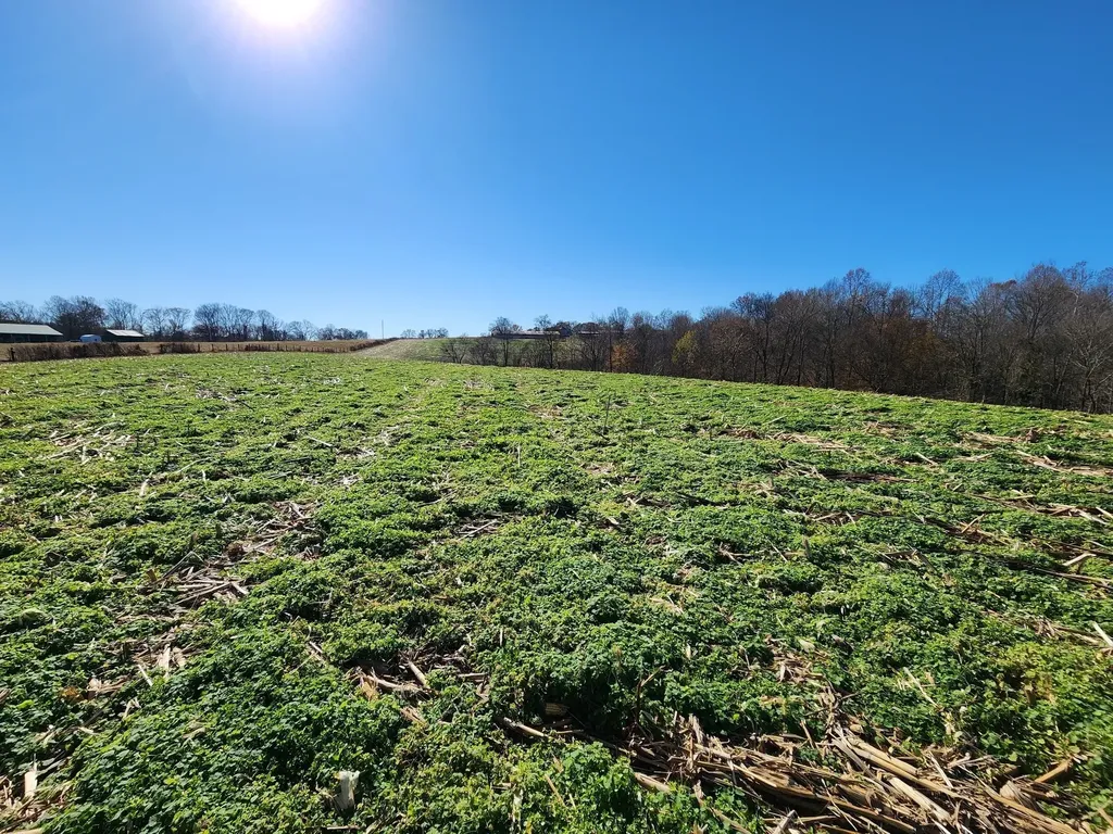 0 Taurus Farm Road Lafayette TN 37083