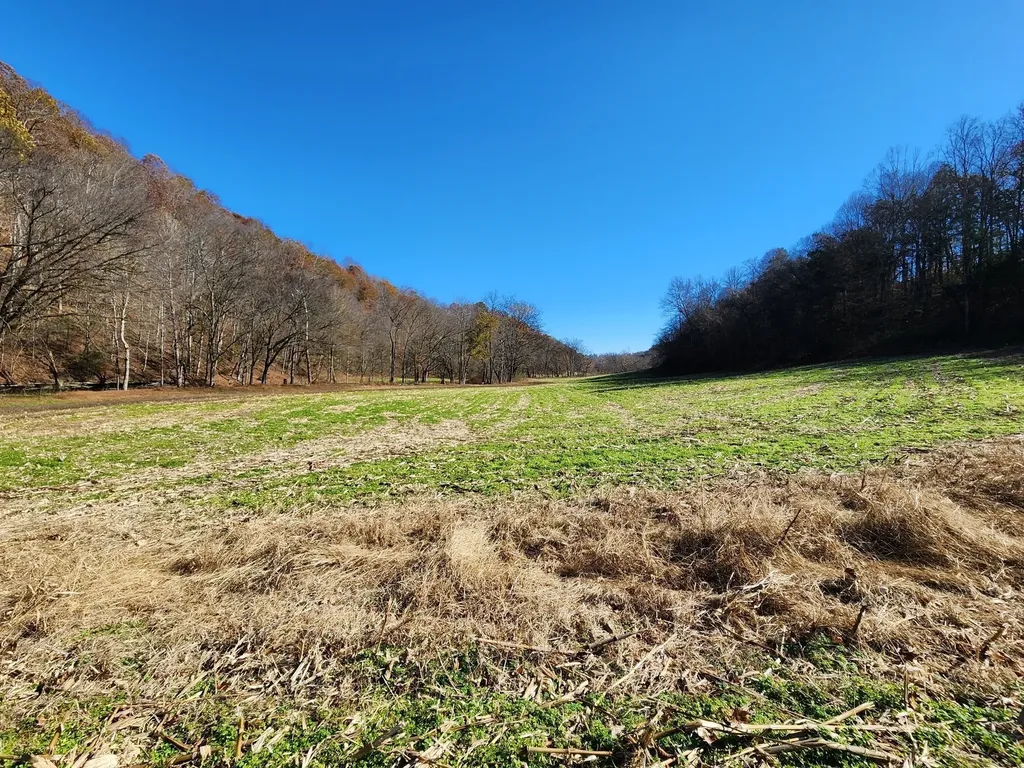 0 Taurus Farm Road Lafayette TN 37083