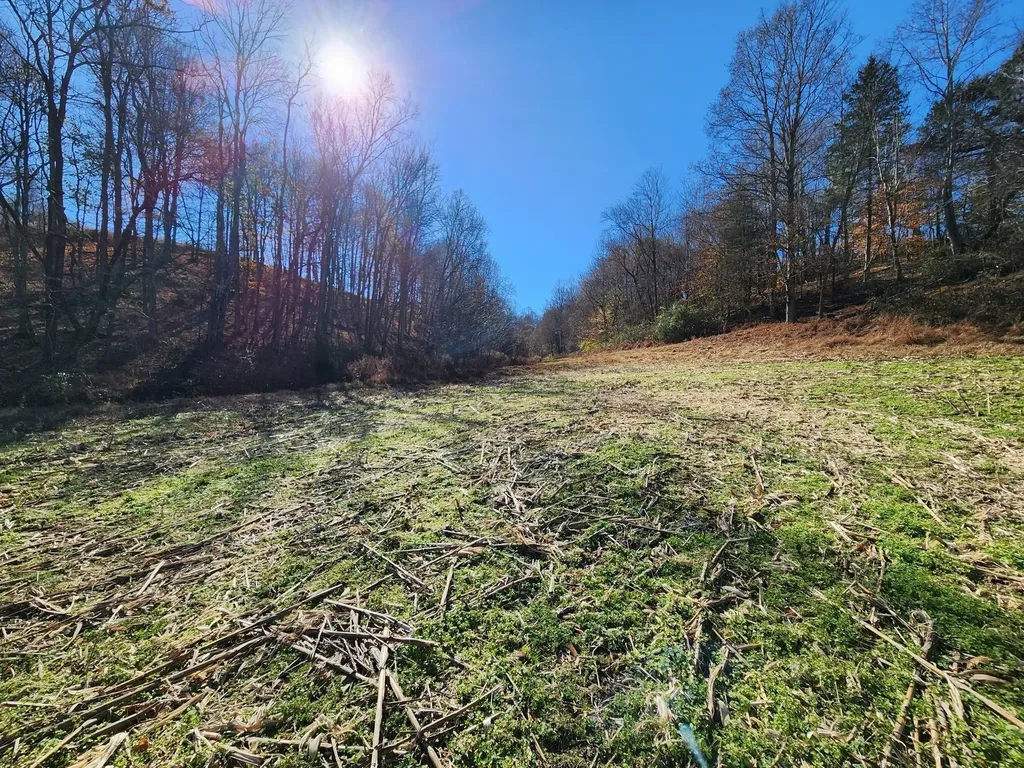 0 Taurus Farm Road Lafayette TN 37083
