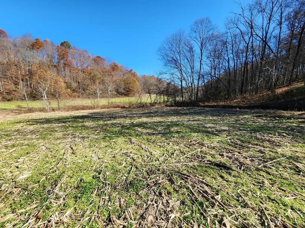 0 Taurus Farm Road Lafayette TN 37083