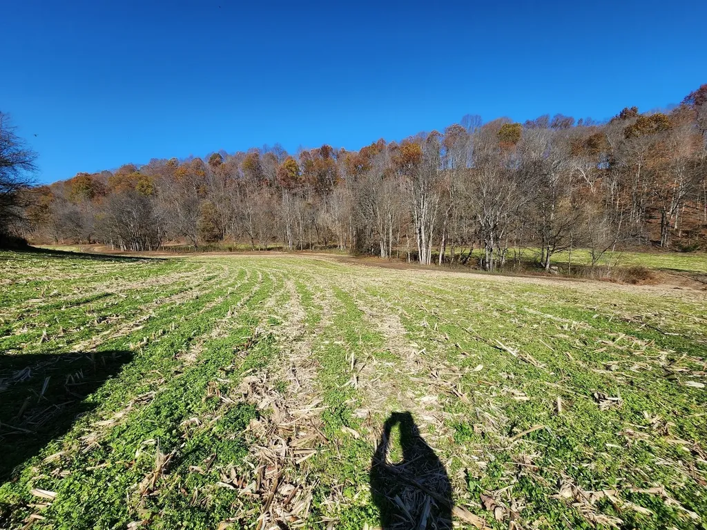 0 Taurus Farm Road Lafayette TN 37083