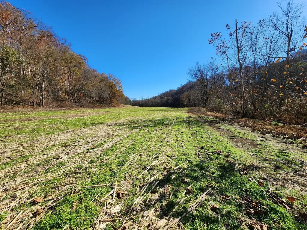 0 Taurus Farm Road Lafayette TN 37083