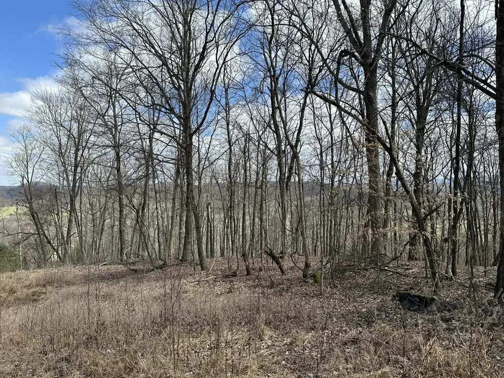0 Upper Hilham Road Livingston TN 38570