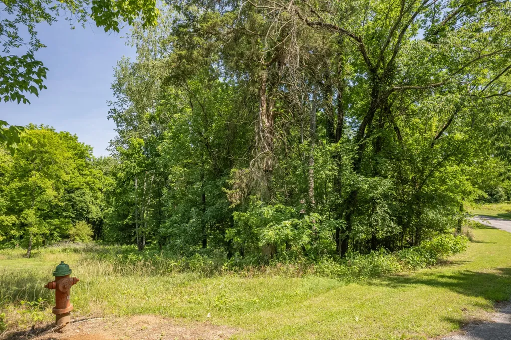 0 Crestview Drive Lewisburg TN 37091