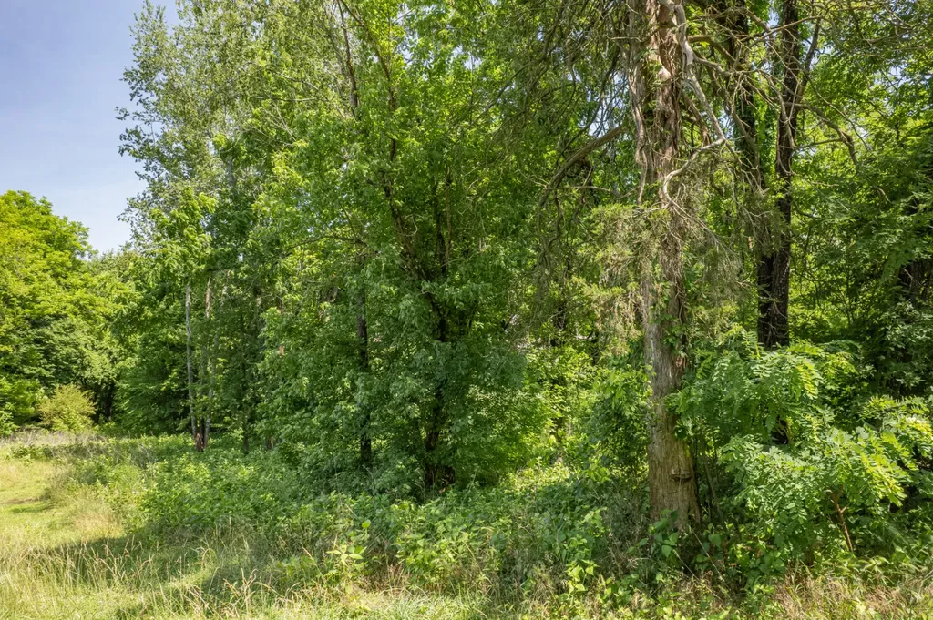 0 Crestview Drive Lewisburg TN 37091