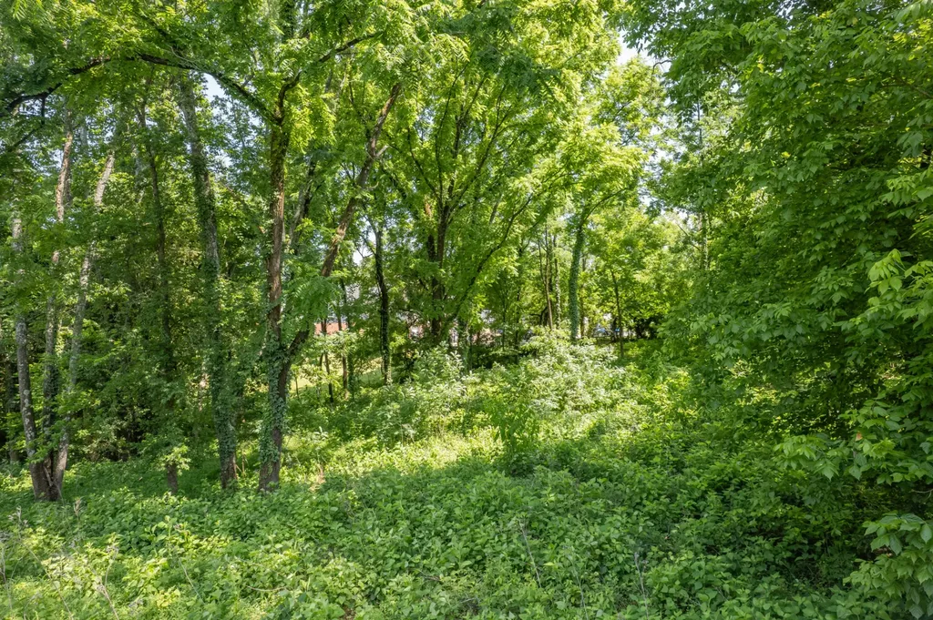 0 Crestview Drive Lewisburg TN 37091