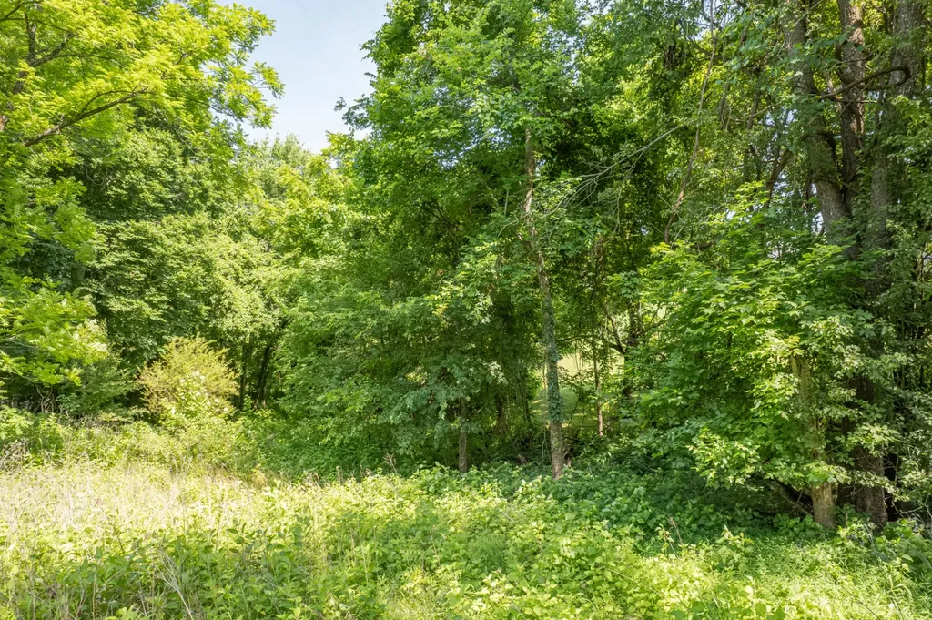 0 Crestview Drive Lewisburg TN 37091