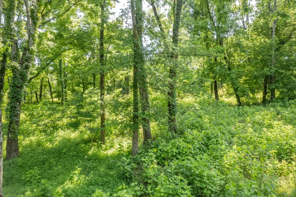 0 Crestview Drive Lewisburg TN 37091
