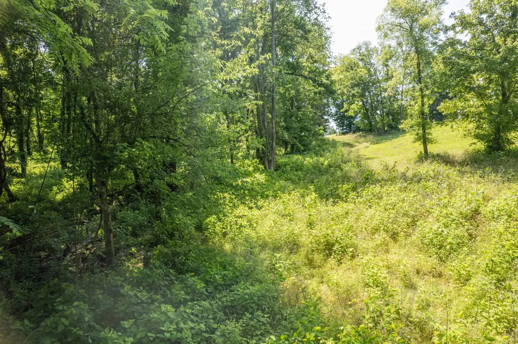 0 Crestview Drive Lewisburg TN 37091