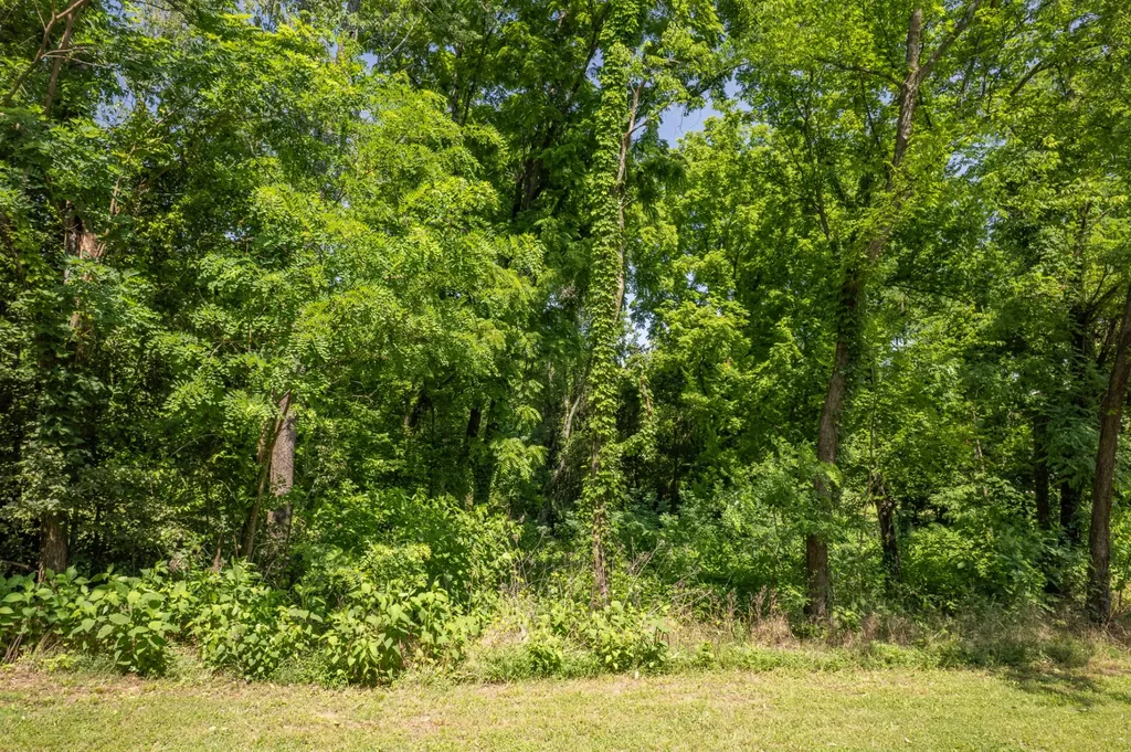 0 Crestview Drive Lewisburg TN 37091