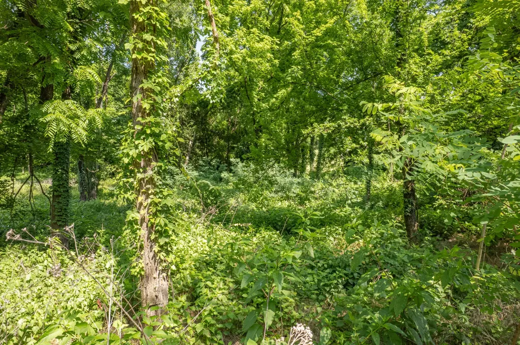 0 Crestview Drive Lewisburg TN 37091