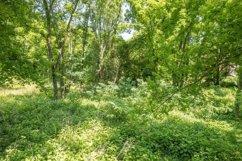 0 Crestview Drive Lewisburg TN 37091