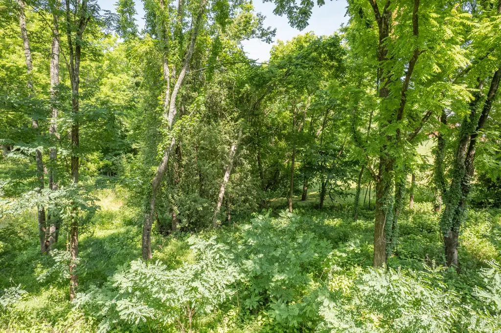 0 Crestview Drive Lewisburg TN 37091