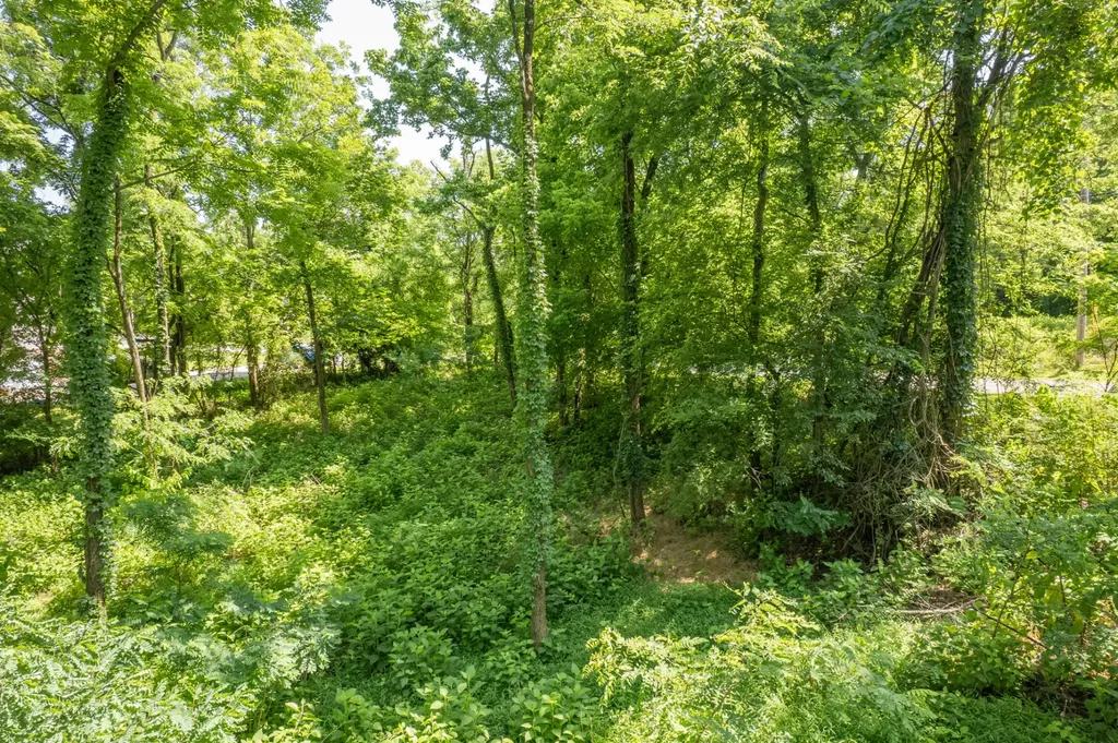 0 Crestview Drive Lewisburg TN 37091