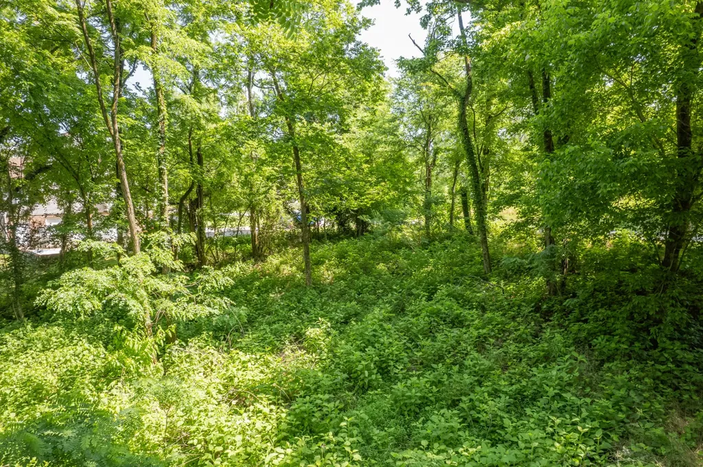 0 Crestview Drive Lewisburg TN 37091