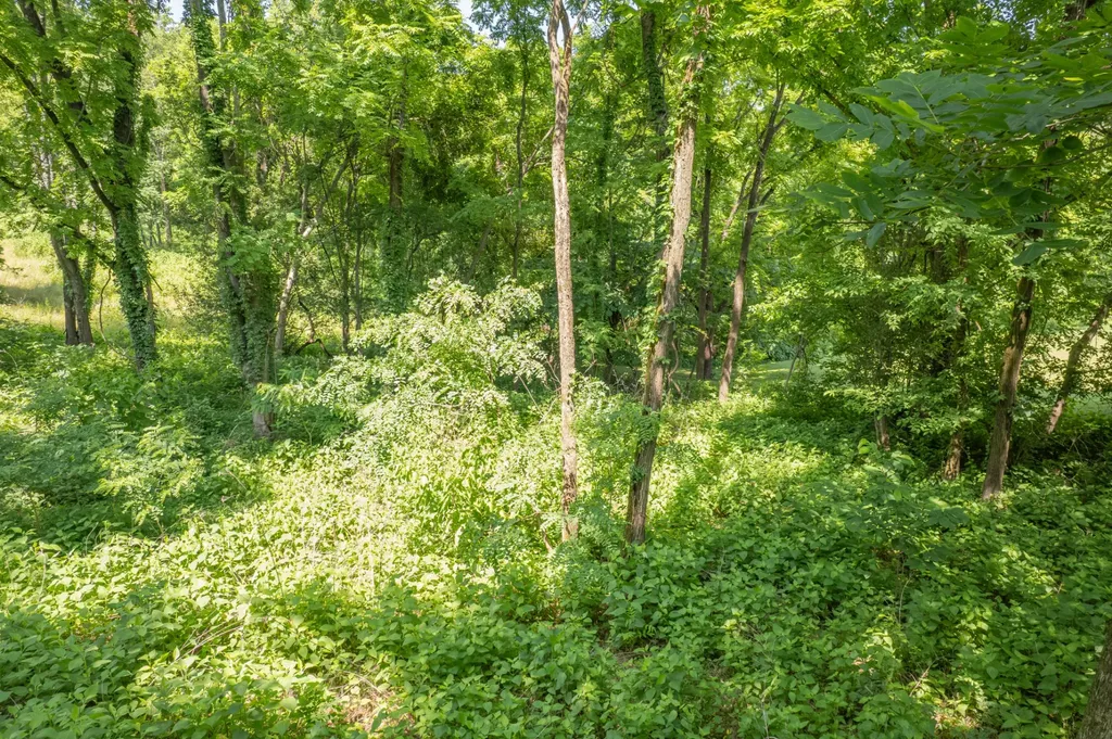0 Crestview Drive Lewisburg TN 37091