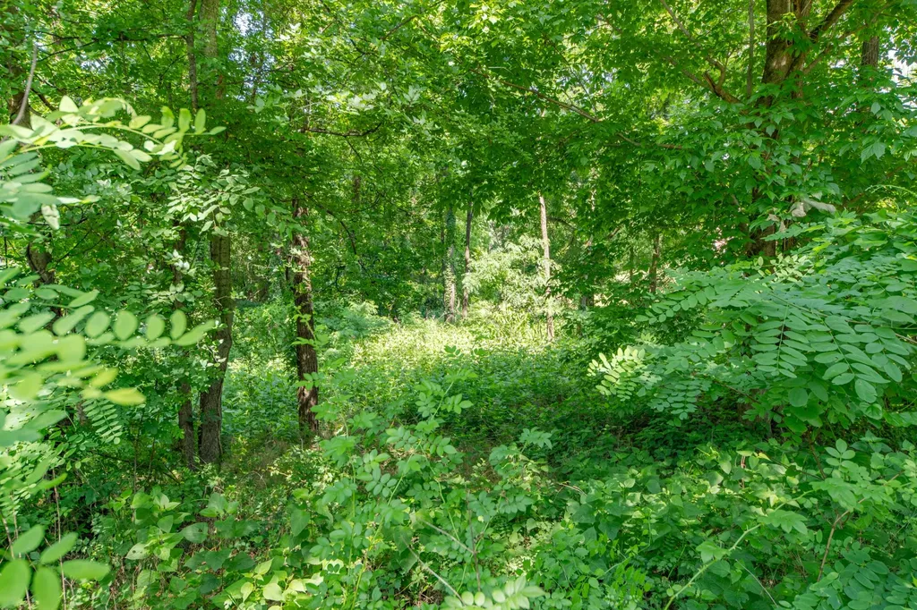 0 Crestview Drive Lewisburg TN 37091