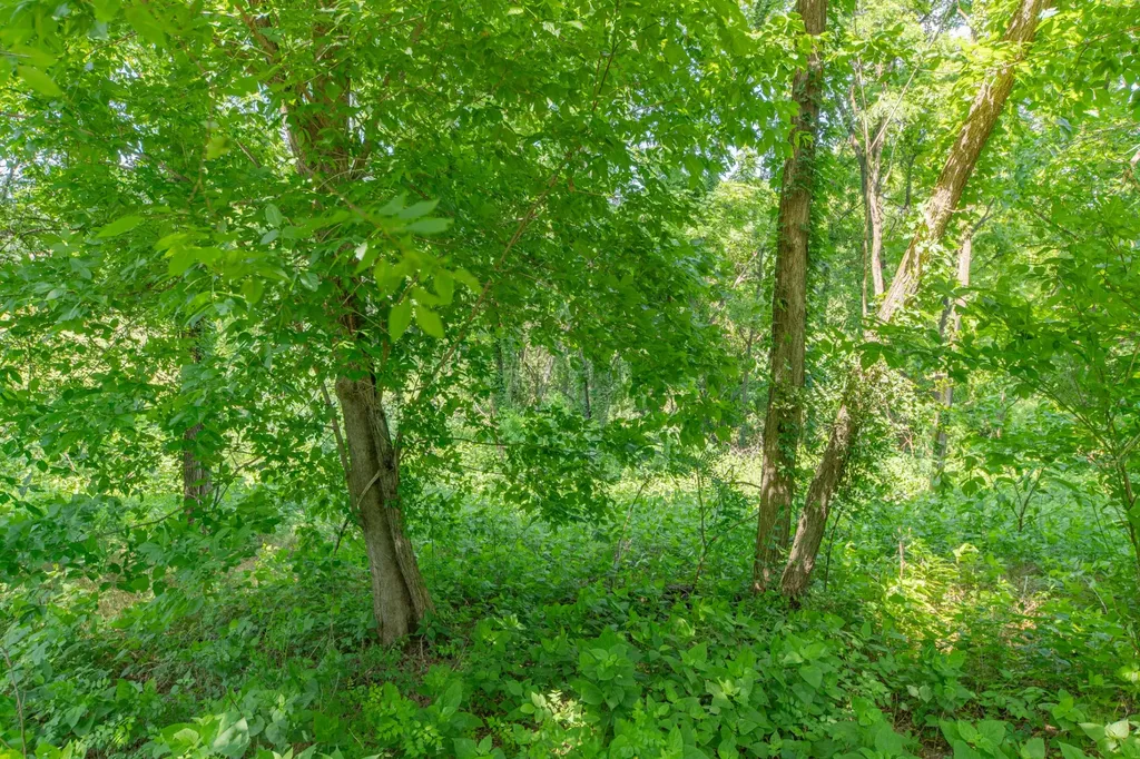 0 Crestview Drive Lewisburg TN 37091