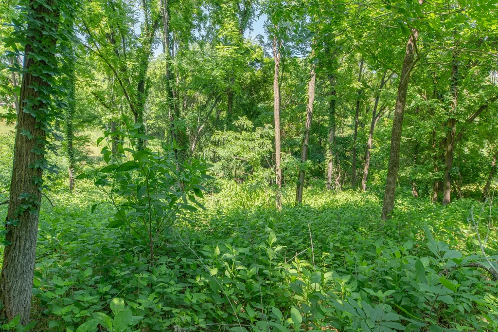 0 Crestview Drive Lewisburg TN 37091