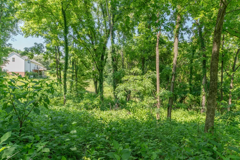 0 Crestview Drive Lewisburg TN 37091