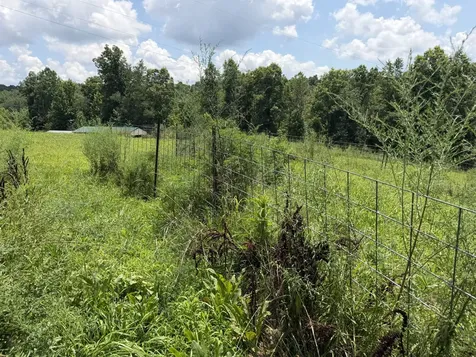 232 Cane Creek Road Hohenwald TN 38462