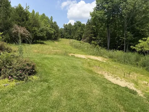 232 Cane Creek Road Hohenwald TN 38462