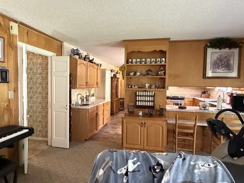 232 Cane Creek Road Hohenwald TN 38462