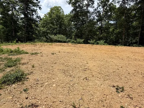 232 Cane Creek Road Hohenwald TN 38462
