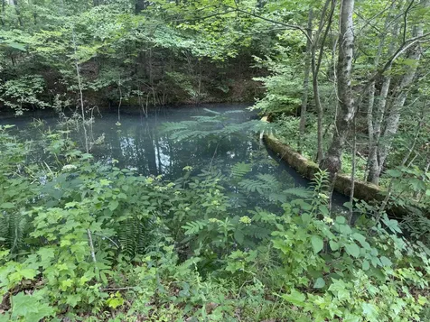 232 Cane Creek Road Hohenwald TN 38462