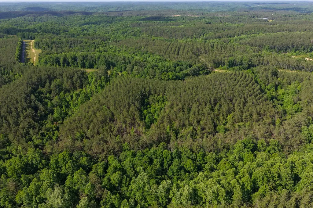 0 Darbytown Road Hohenwald TN 38462