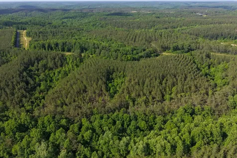 0 Darbytown Road Hohenwald TN 38462