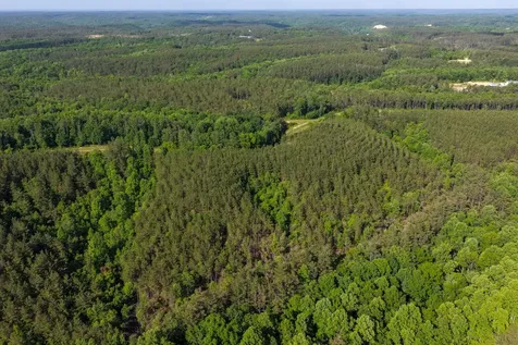 0 Darbytown Road Hohenwald TN 38462