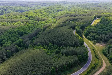 0 Darbytown Road Hohenwald TN 38462