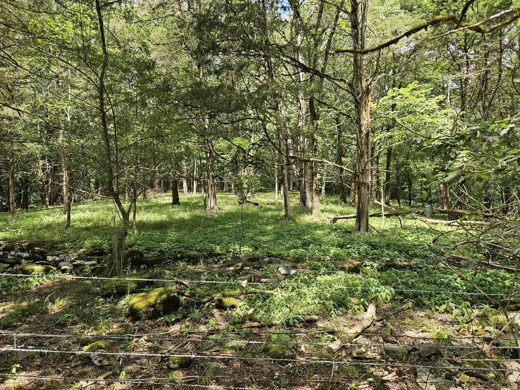 294 Lakeside Drive Carthage TN 37030