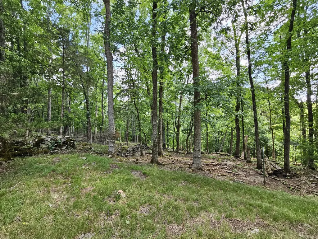 294 Lakeside Drive Carthage TN 37030