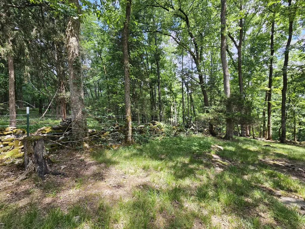 294 Lakeside Drive Carthage TN 37030