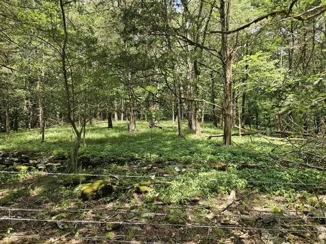 294 Lakeside Drive Carthage TN 37030