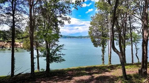 122 Ridge Point Trail Dandridge TN 37725