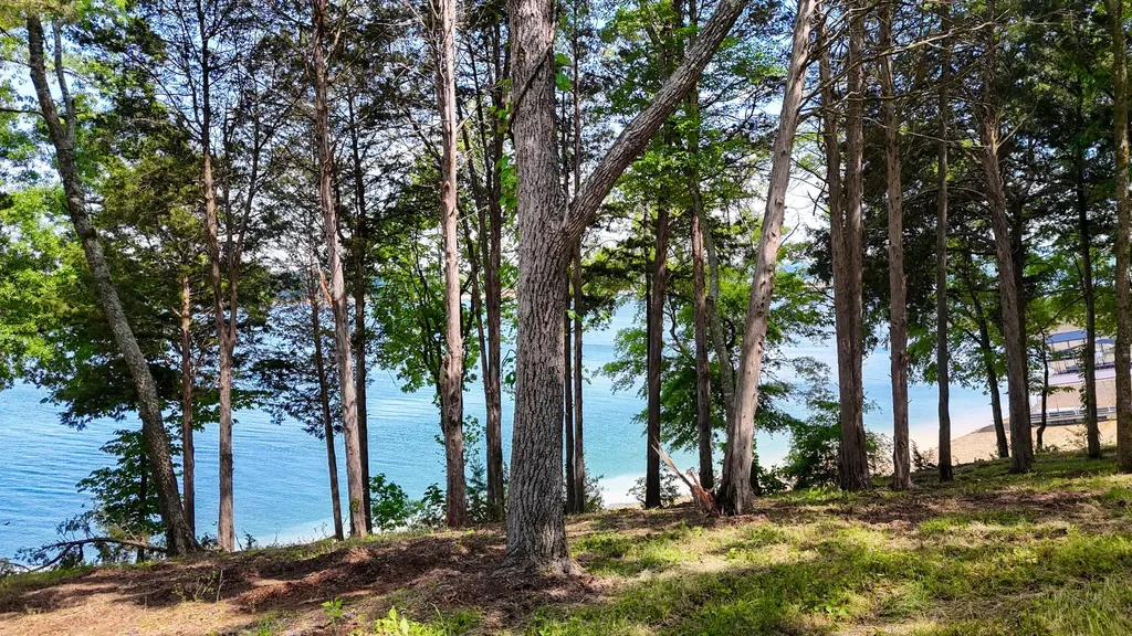 123 Ridge Point Trail Dandridge TN 37725