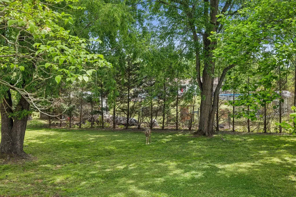 281 Lake Terrace Drive Hendersonville TN 37075