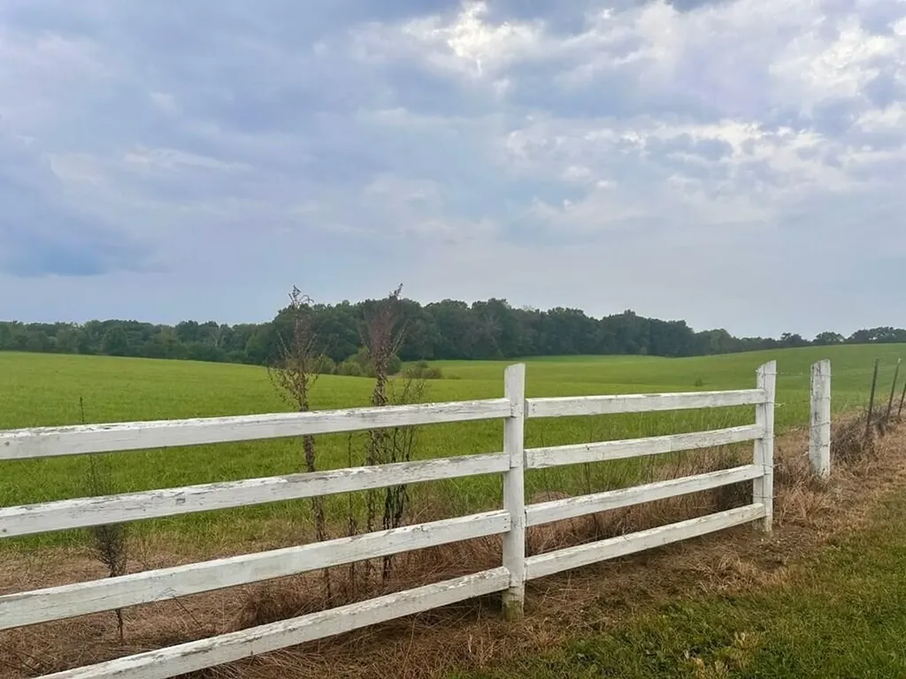 12343 Griffith Road Pikeville TN 37367