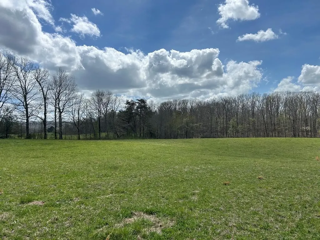12343 Griffith Road Pikeville TN 37367