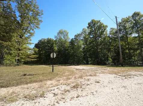 21 Three Rivers Drive Hurricane Mills TN 37078