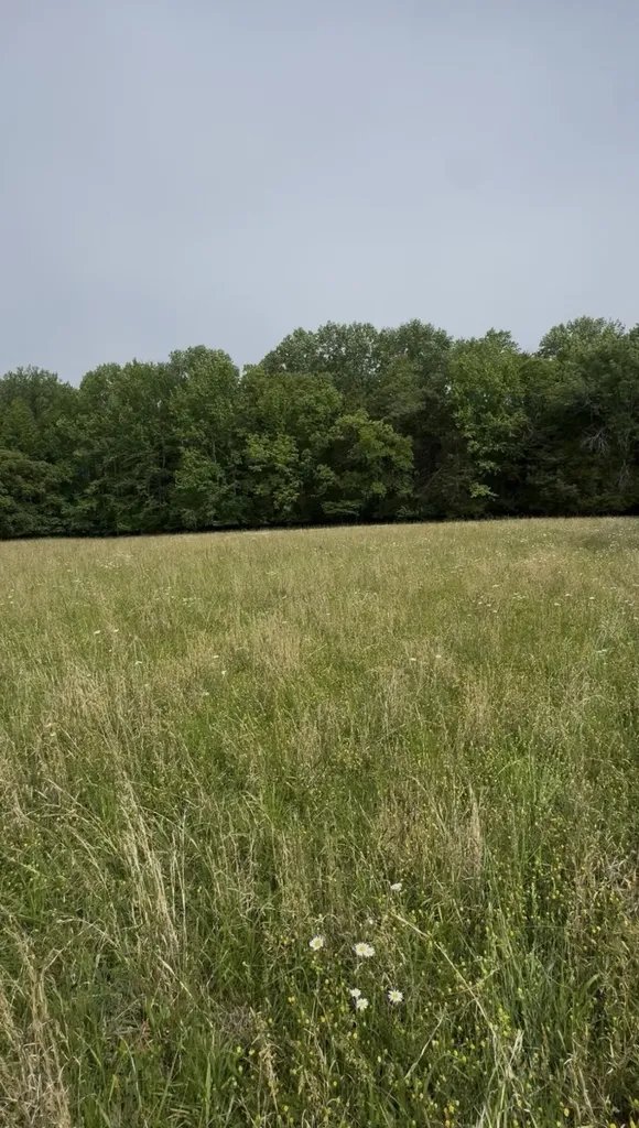 0 Riverview Road Mount Juliet TN 37122
