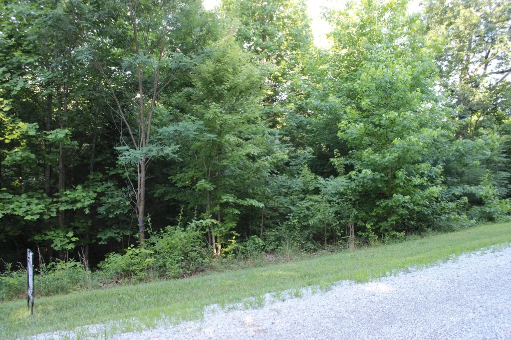 0 Bluff Line Mc Minnville TN 37110