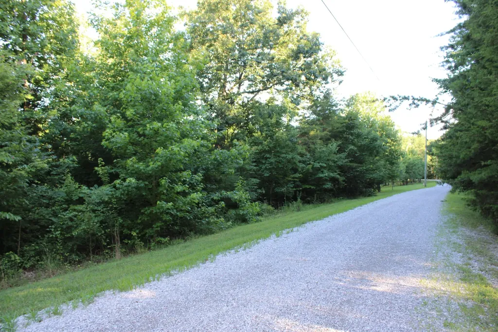 0 Bluff Line Mc Minnville TN 37110