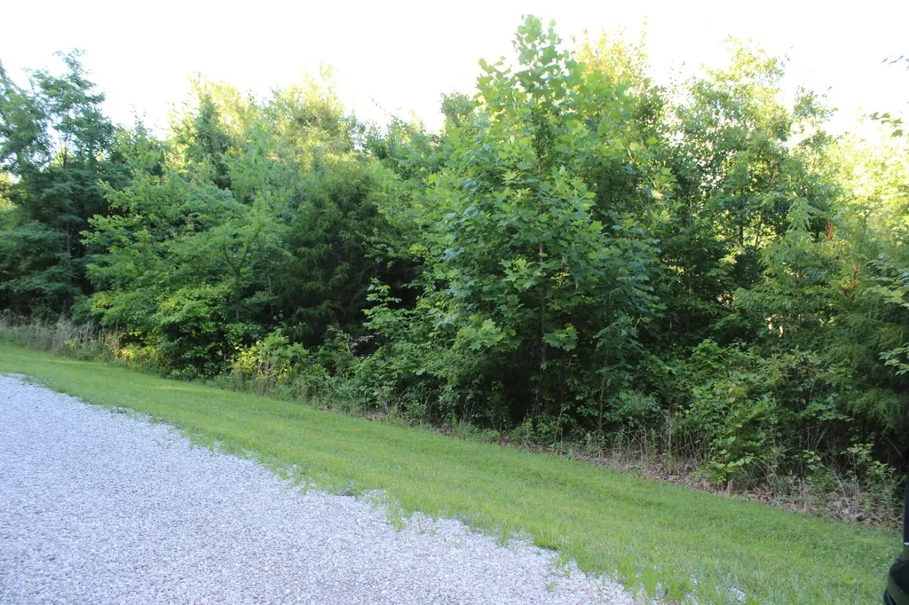 0 Bluff Line Mc Minnville TN 37110