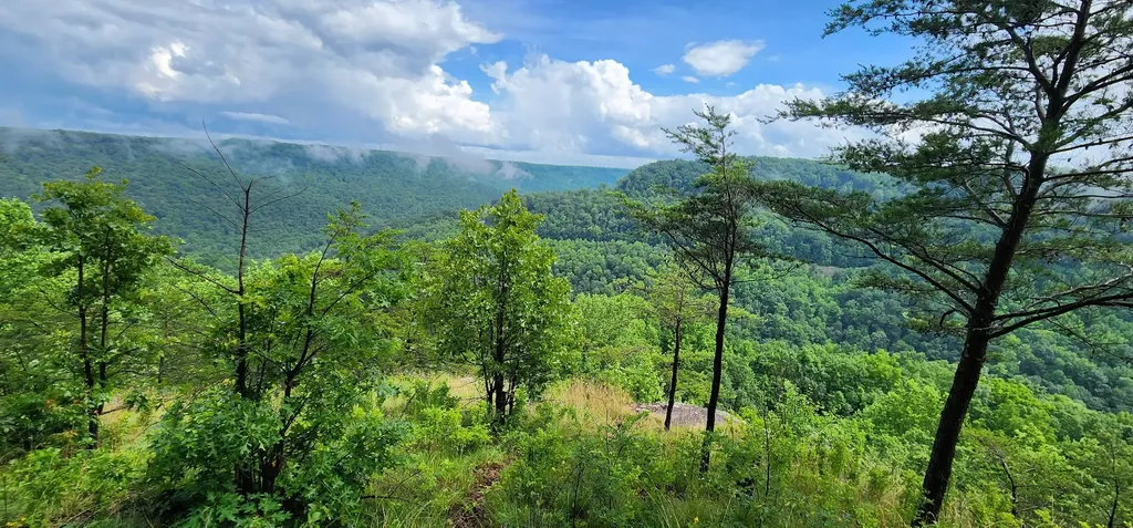 0 Eagle Point Drive Monteagle TN 37356