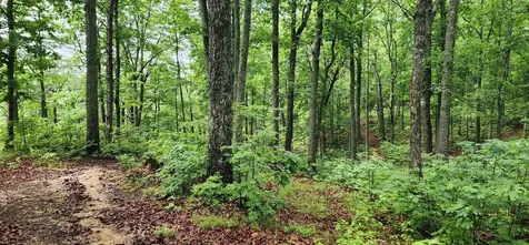 0 Eagle Point Drive Monteagle TN 37356