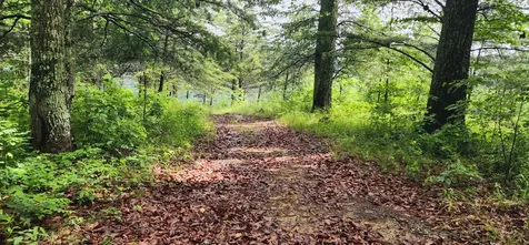 0 Eagle Point Drive Monteagle TN 37356